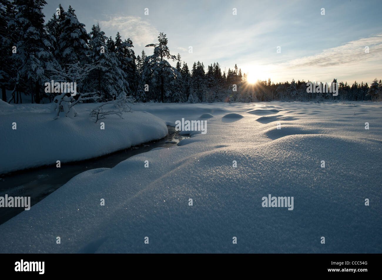 Sun è in aumento e illuminazione paesaggio invernale nel Nordmarka, Oslo. Foto Stock