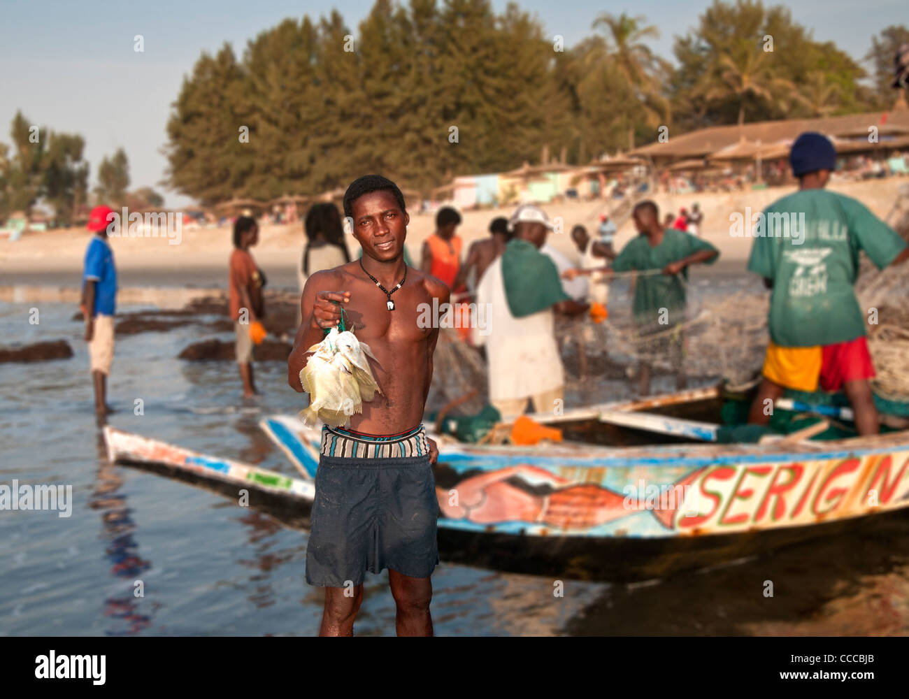 Locali DI PESCATORI GAMBIANI con cattura di Angelfish in barca sulla spiaggia Kololi, vicino Serrekunda, Gambia, Africa occidentale Foto Stock