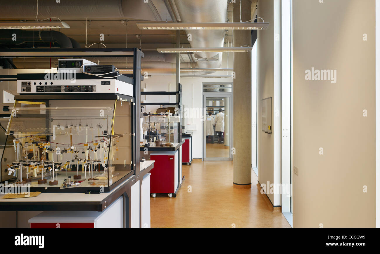 Università di Cambridge fisica Medicina di Laboratorio Cavendish, Cambridge, Regno Unito, 2008 Foto Stock