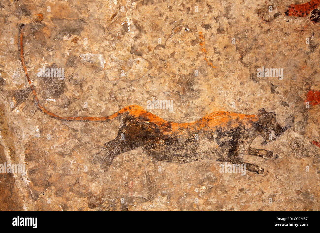 I Boscimani (SAN) rock dipinto raffigurante un predatore (Leopard), Sud Africa Foto Stock