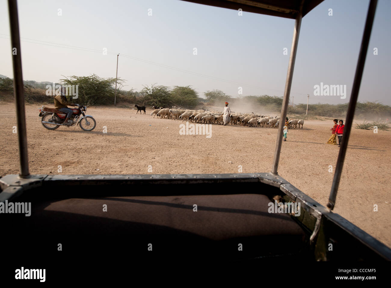 In un villaggio Bishnoi jeep safari, vicino a Jodhpur, nel Rajasthan, India. Foto Stock