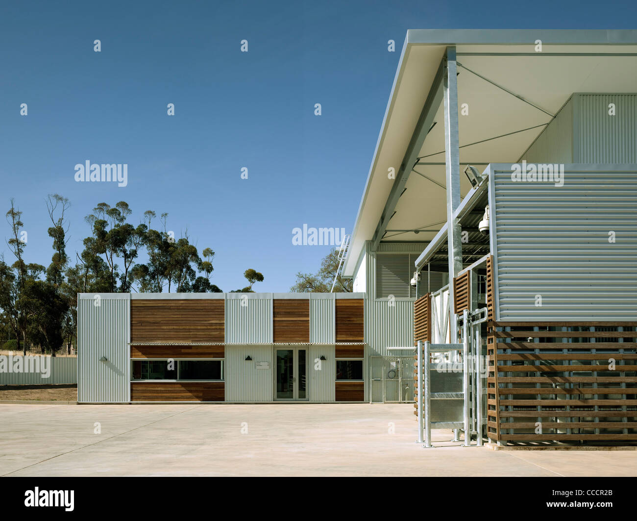 State-Of-The-Art scienza veterinaria Centro Clinico e Laboratori di Charles Sturt University. Foto Stock