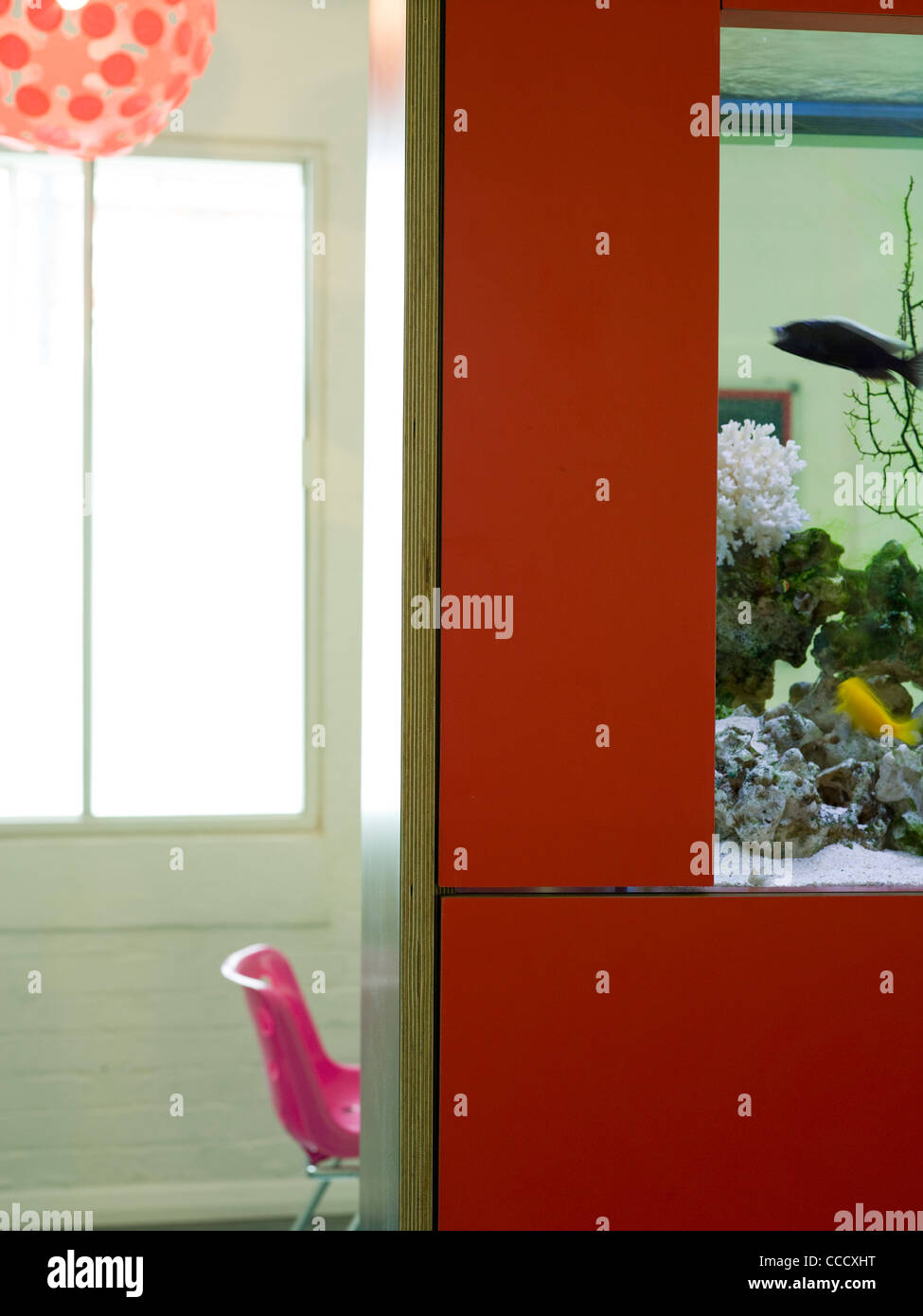 Tbg agenzia di pubblicità pesce serbatoio dettaglio Foto Stock