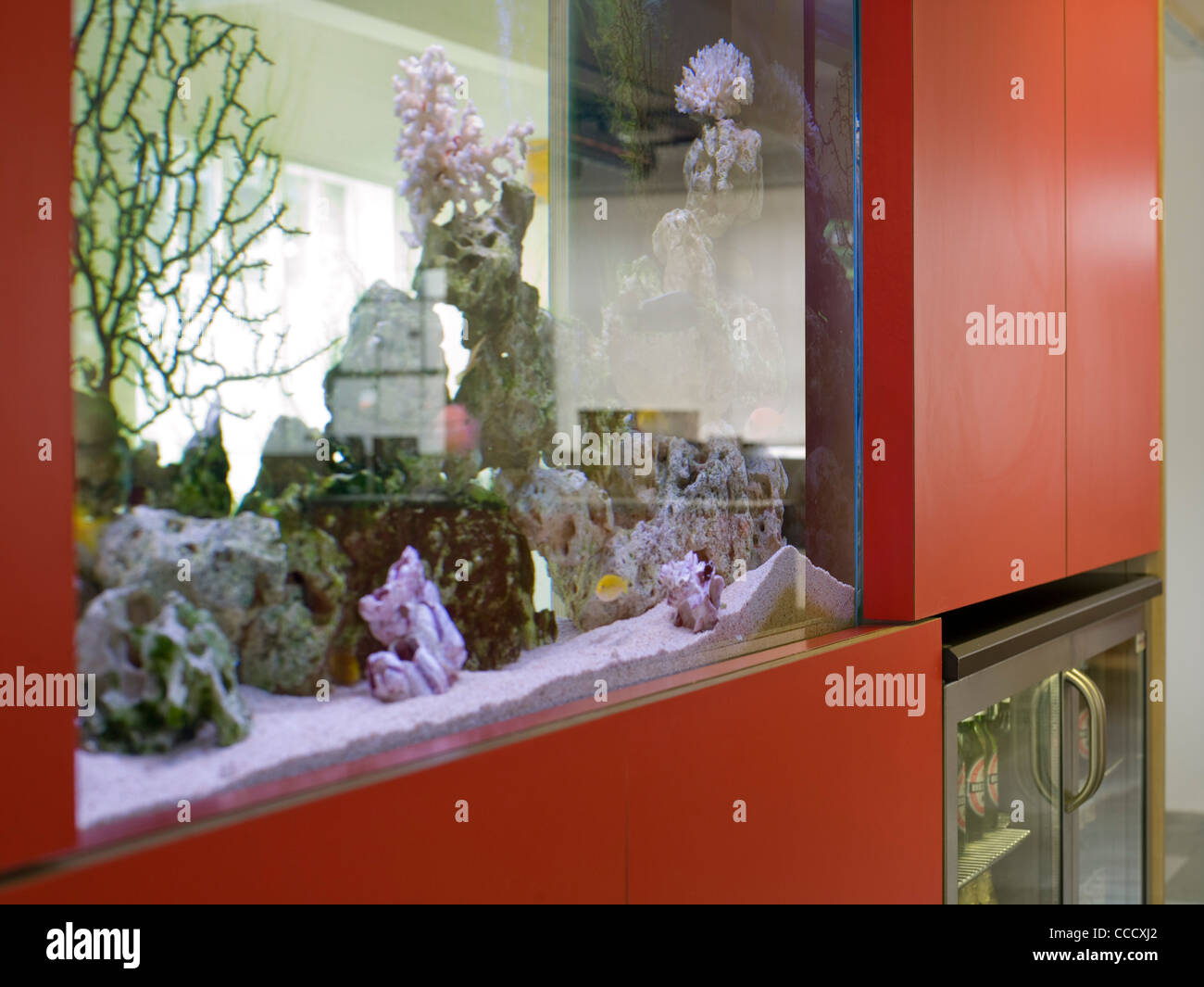 Tbg agenzia di pubblicità pesce serbatoio dettaglio Foto Stock