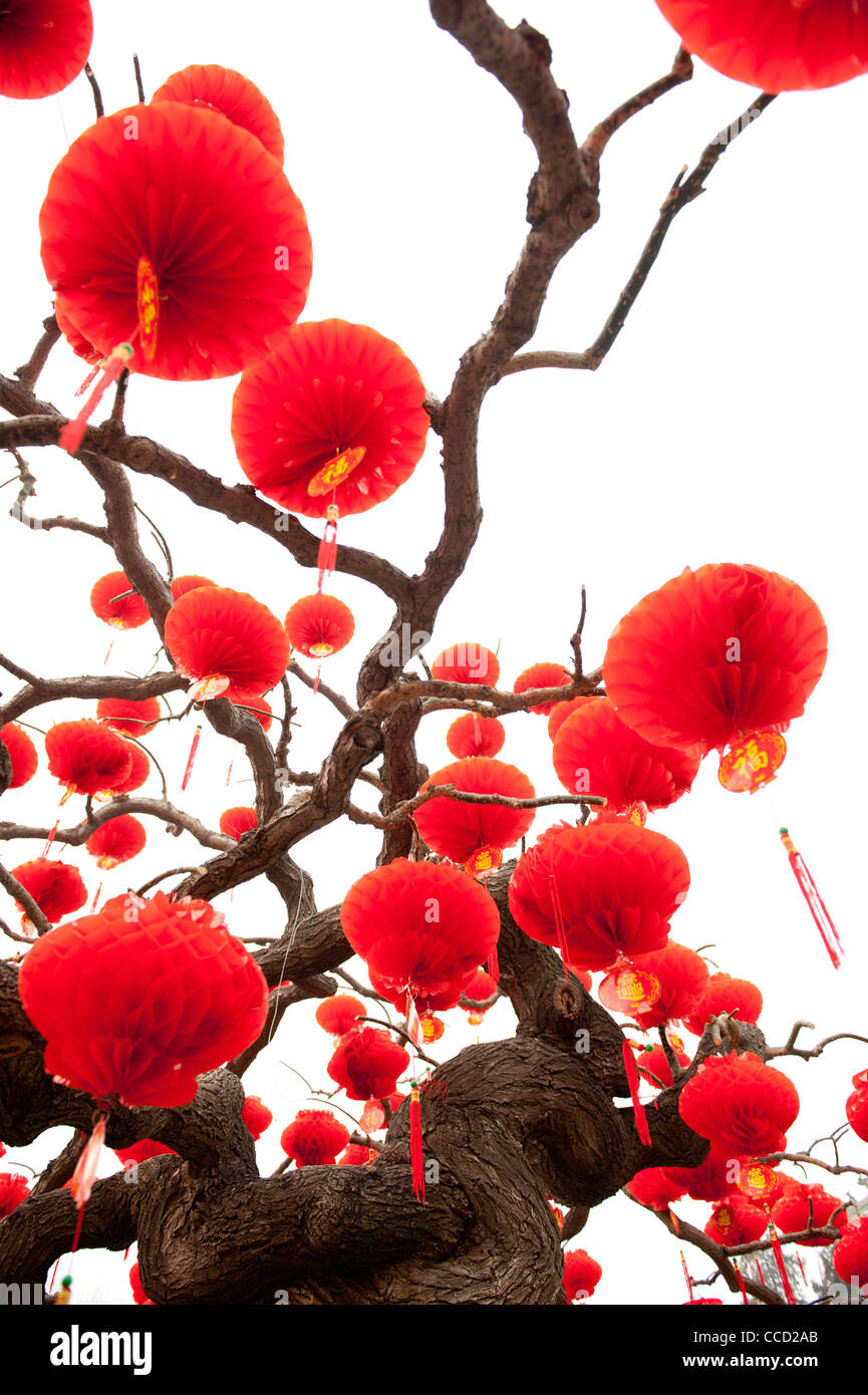 Pechino, DiTan Park (parco del Tempio della Terra). Anno Nuovo Cinese decorazioni. Foto Stock