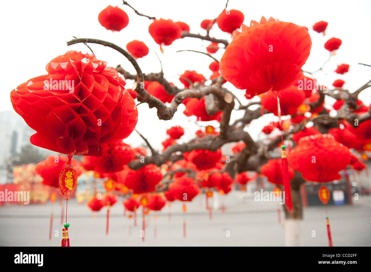 Pechino, DiTan Park (parco del Tempio della Terra). Anno Nuovo Cinese decorazioni. Foto Stock