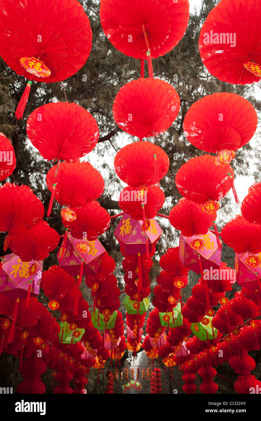 Pechino, DiTan Park (parco del Tempio della Terra). Anno Nuovo Cinese decorazioni. Foto Stock