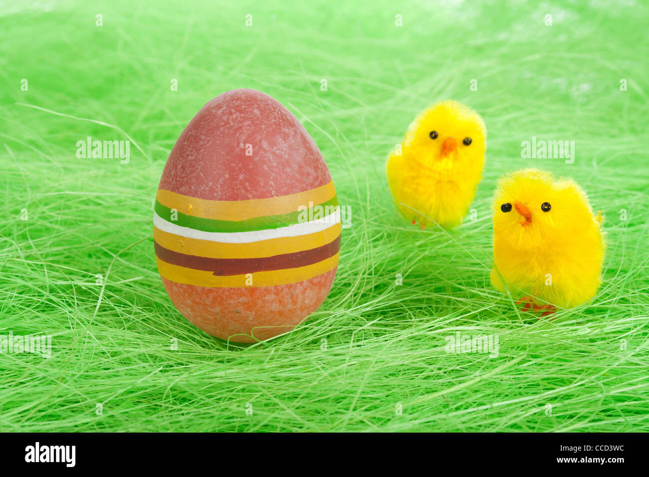 I pulcini e verniciato colorato Uovo di Pasqua su erba verde Foto Stock