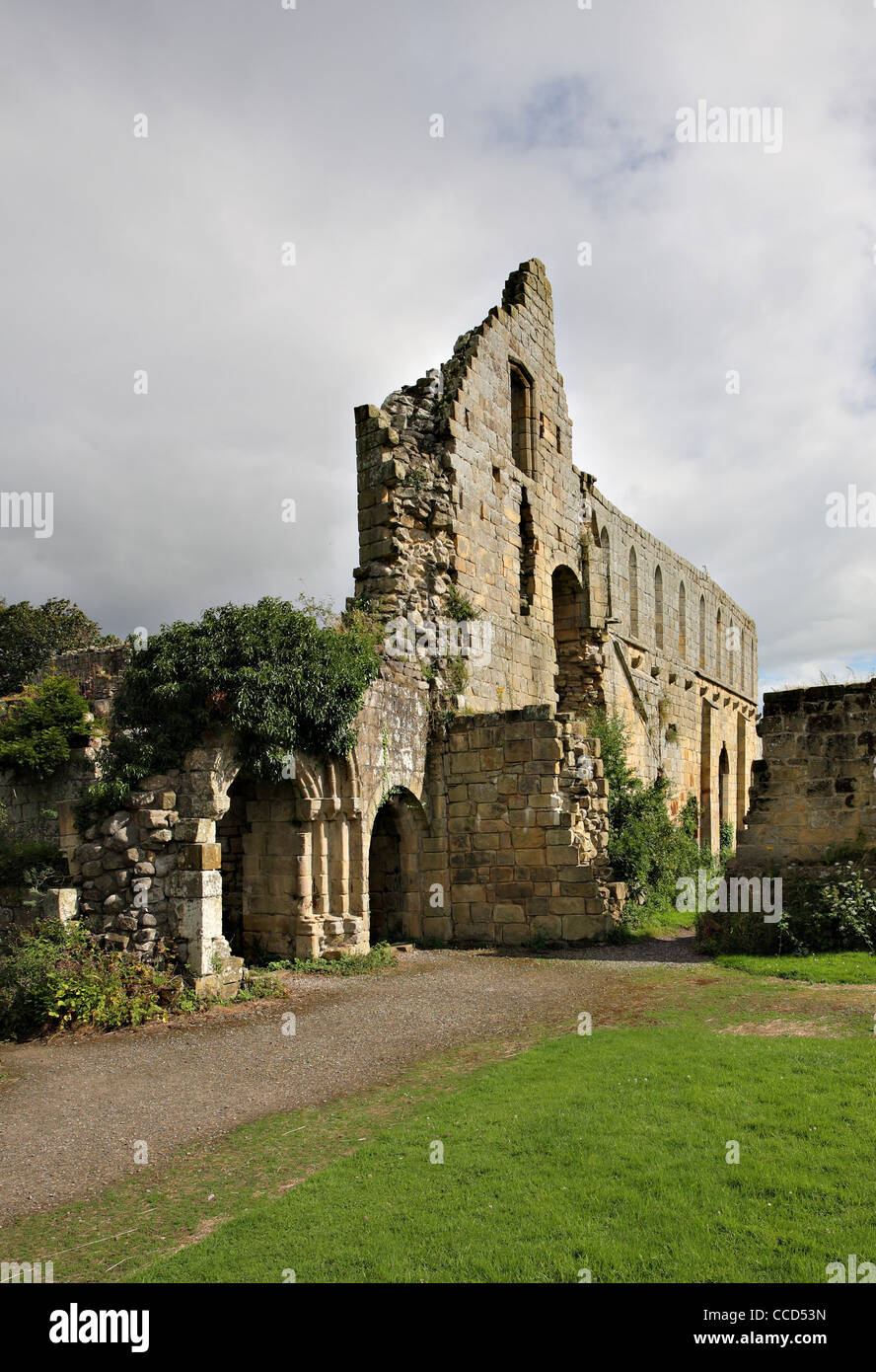 Abbazia di Jervaulx rovine, Yorkshire North Riding Foto Stock