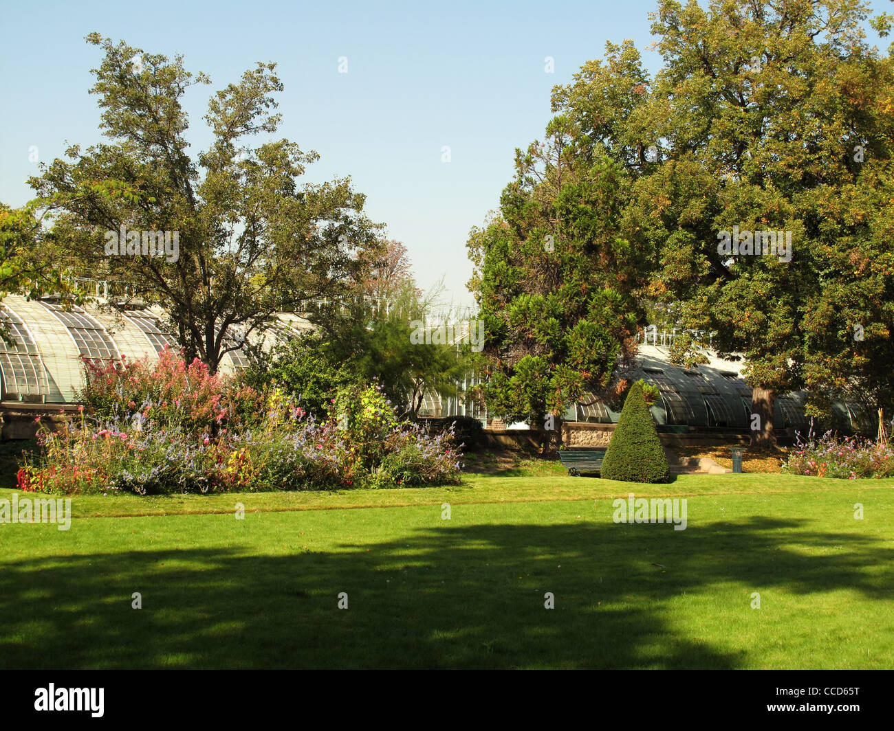 Jardin des serres d'Auteuil,Parigi,Francia,Bois de Boulogne,giardino serre di Auteuil,francese giardino formale,jardin a la Françai Foto Stock