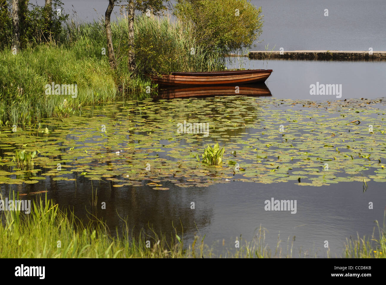Il lago di Lough Melvin, nella Contea di Leitrim, Connacht, Irlanda, Europa. Foto Stock