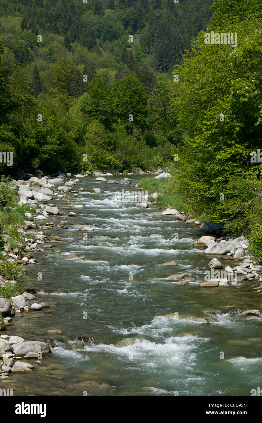 Corso naturale del fiume Sarca da Tione, Valle Giudicarie, Trentino, Italia, Europa Foto Stock