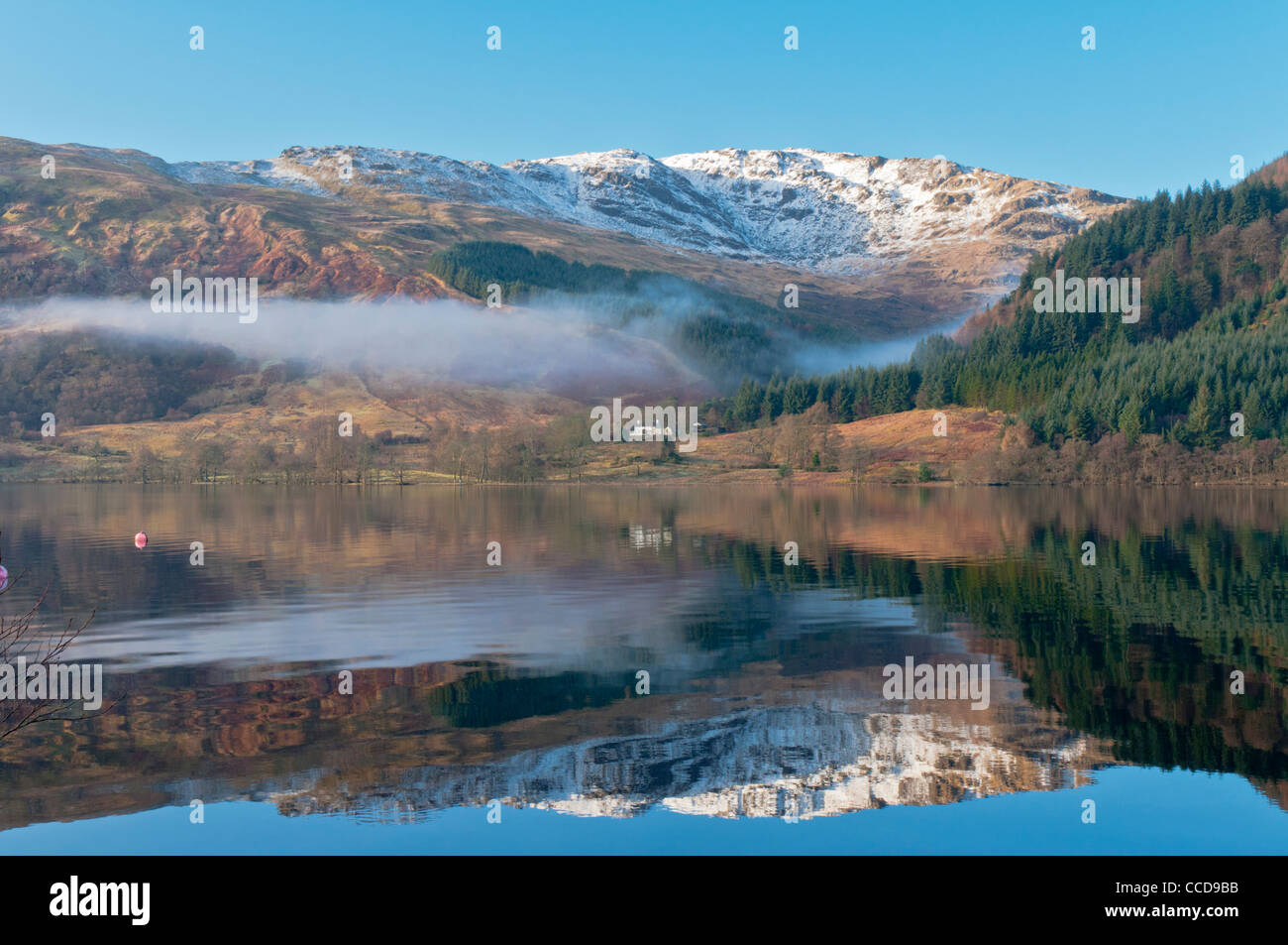 Inverno riflessioni sul Loch Eck nr Dunoon Argyll & Bute Scozia Scotland Foto Stock