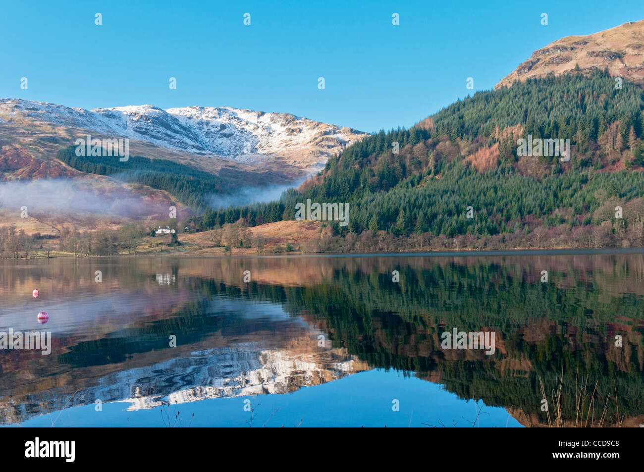Inverno riflessioni sul Loch Eck nr Dunoon Argyll & Bute Scozia Scotland Foto Stock