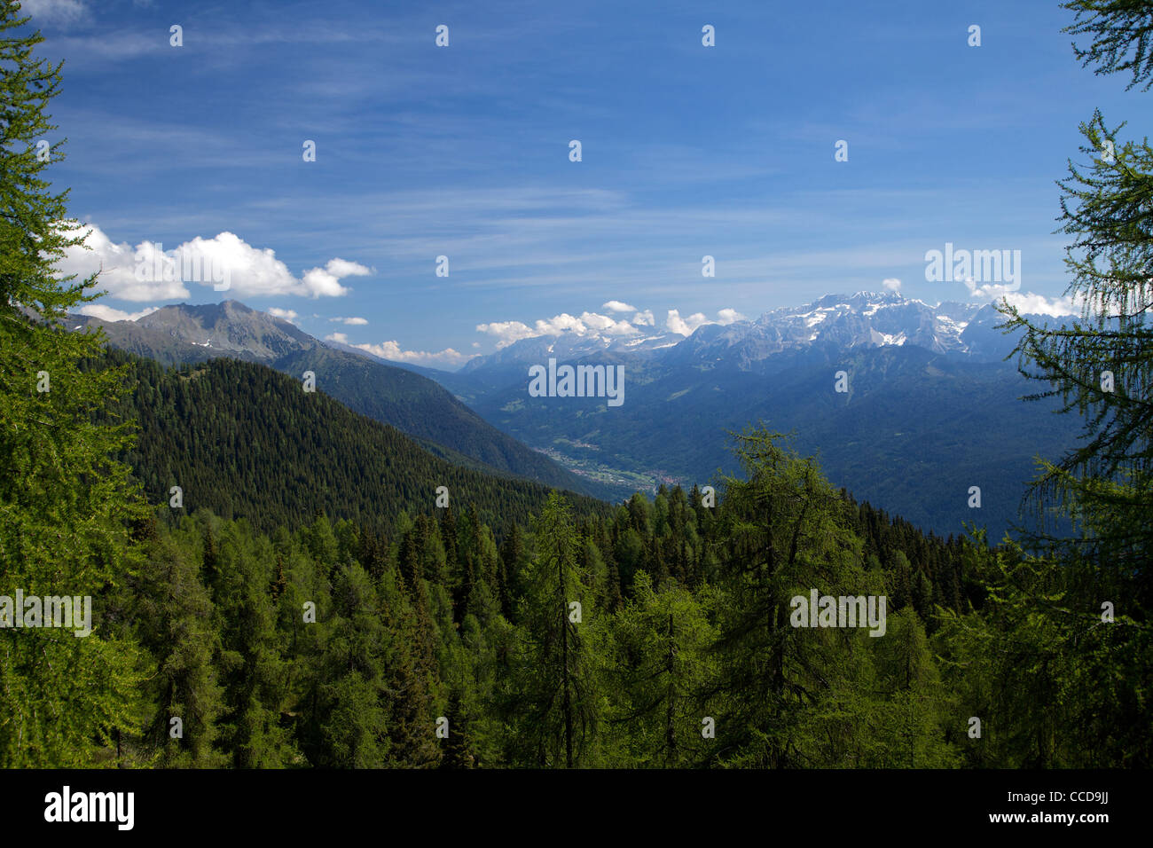 Panoramica dal Monte Cengledino con vista sul gruppo montuoso del Brenta, valli Giudicarie, Val Rendena, Trentino Foto Stock