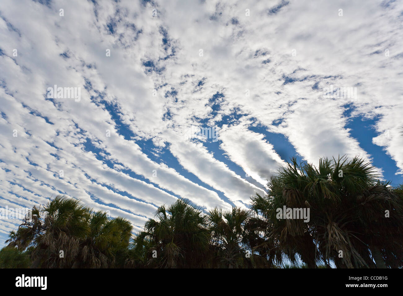 Righe di nuvole Altocumulus Foto Stock