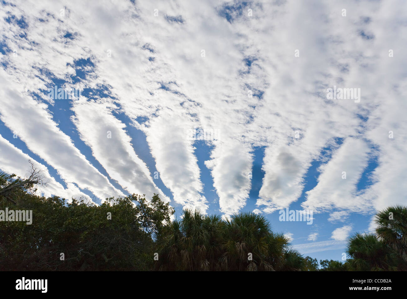 Righe di nuvole Altocumulus Foto Stock