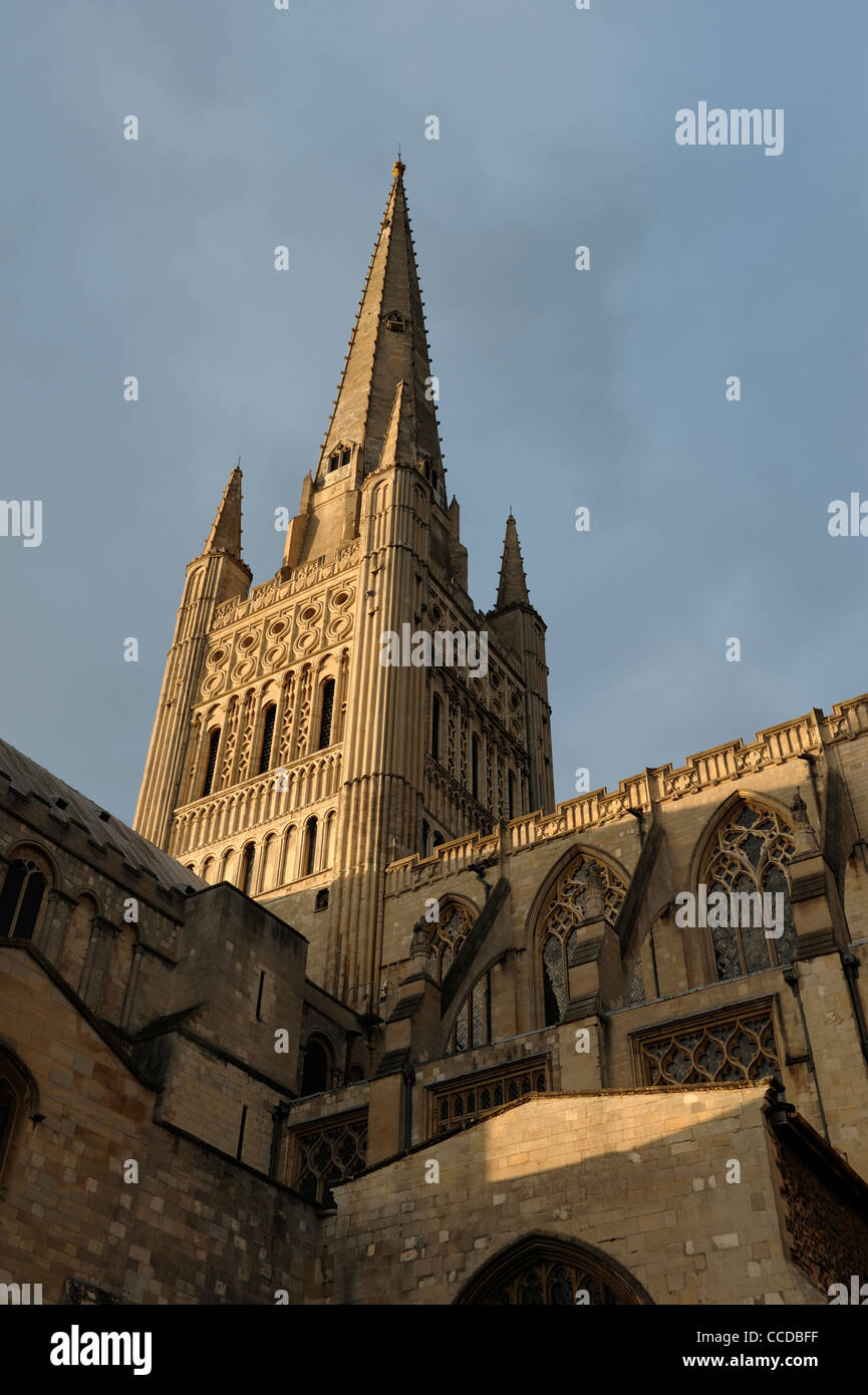 Norwich Cathedral con sole serale Foto Stock