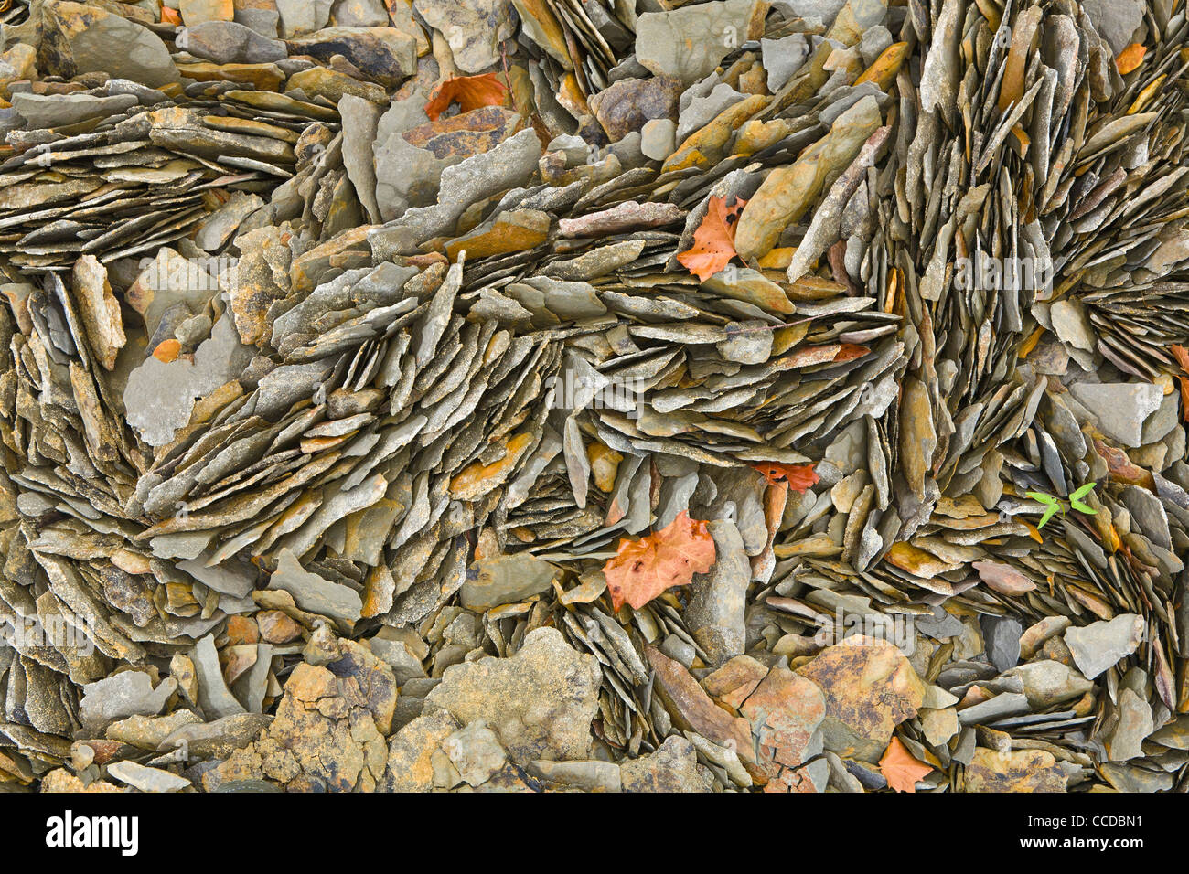 Guardando verso il basso in corrispondenza di rocce a bordo di Dale Lago di cava, Tennesse Foto Stock