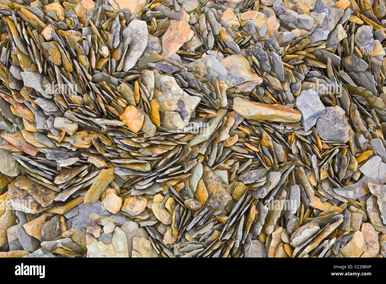 Guardando verso il basso in corrispondenza di rocce a bordo di Dale Lago di cava, Tennesse Foto Stock