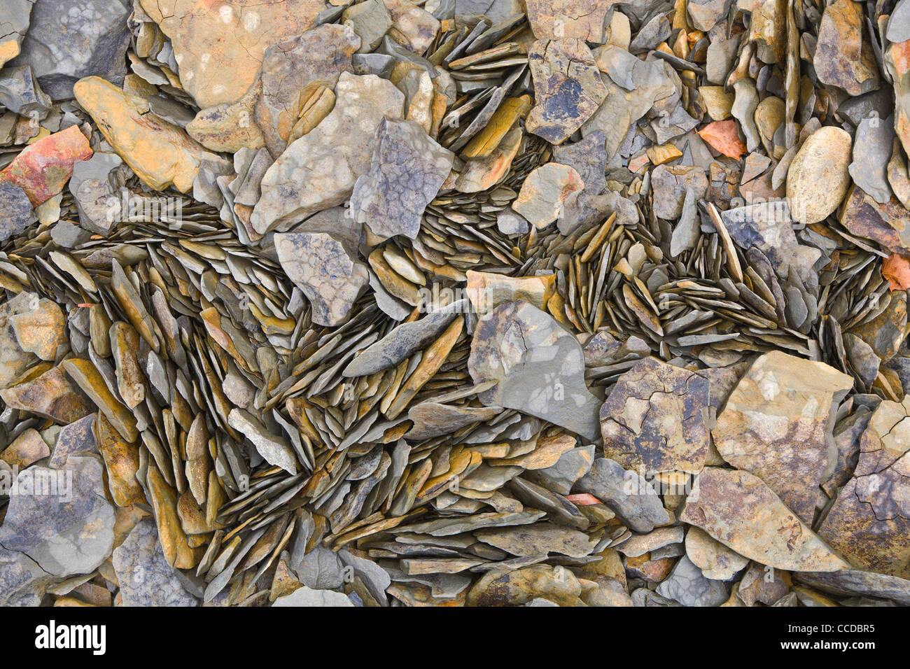 Guardando verso il basso in corrispondenza di rocce a bordo di Dale Lago di cava, Tennesse Foto Stock