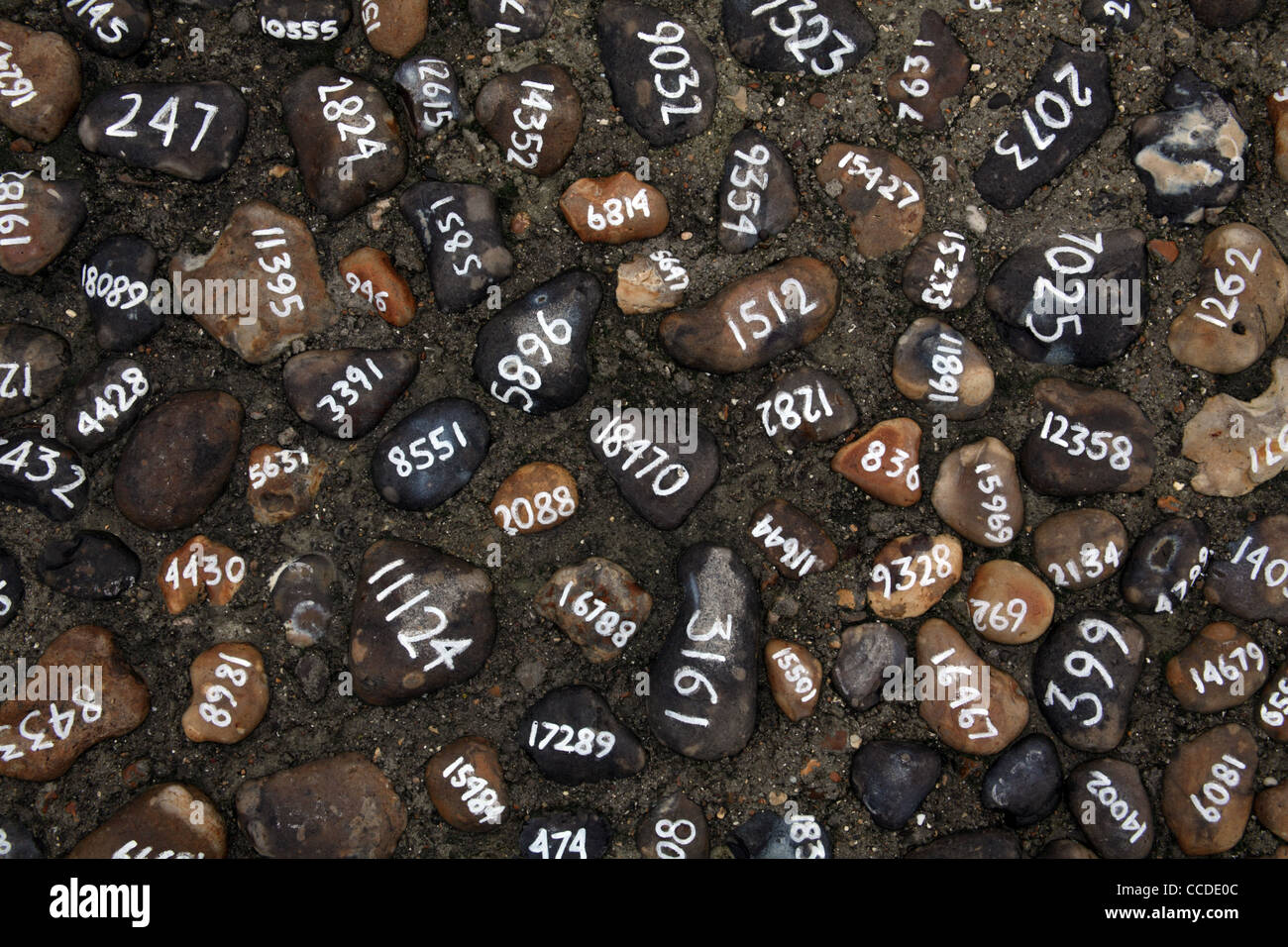 Installazione di Mark Wallinger in Folkestone, Kent; intitolato 'Folk sassi" Foto Stock