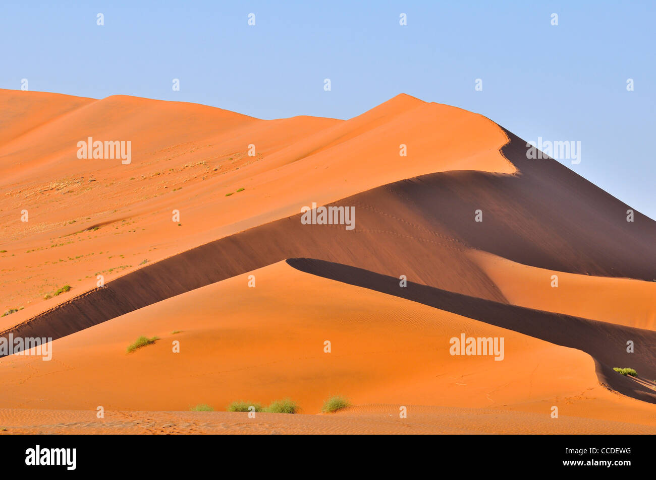 Dune di sabbia rossa del Sossusvlei / Sossus Vlei nel deserto del Namib, Namibia, Sud Africa Foto Stock