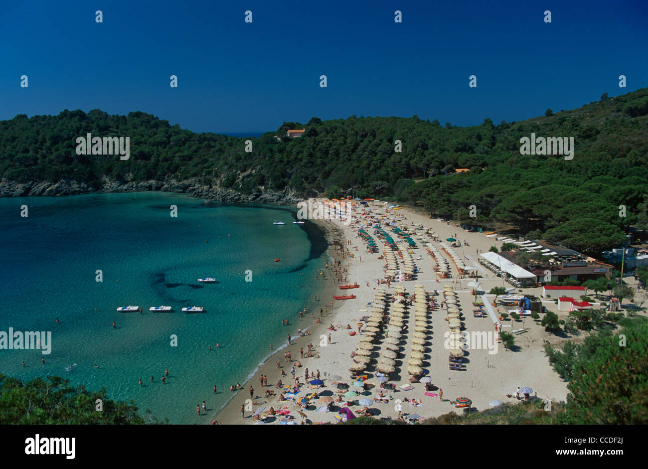 La spiaggia del golfo della Biodola Foto Stock