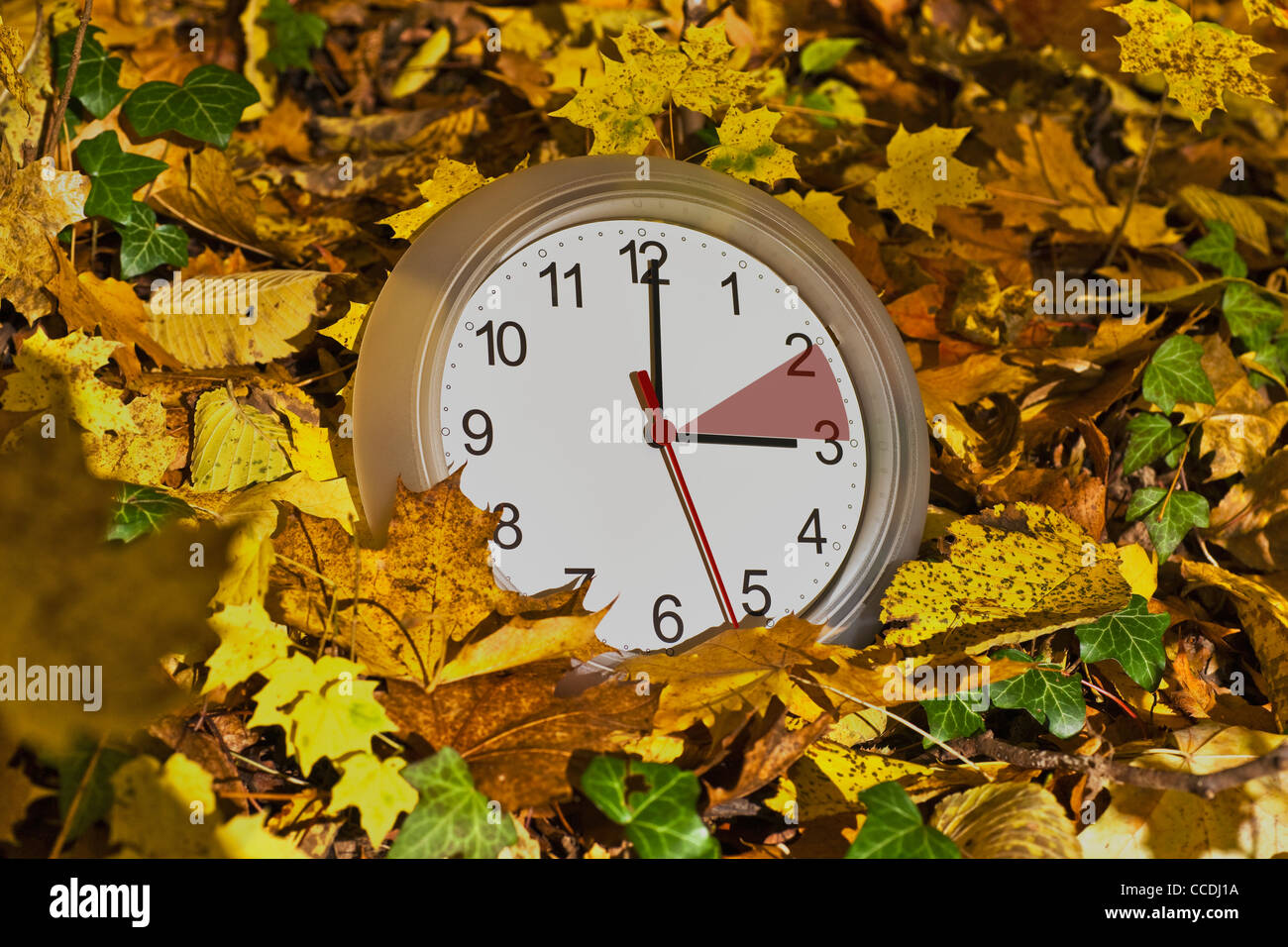 Un orologio da parete in foglie colorate. L'orologio ha un contrassegno rosso tra due e tre. Foto Stock