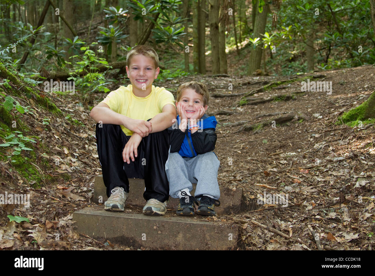 Due ragazzi (fratelli) foresta Sentiero escursionistico seduti sulle scale Foto Stock