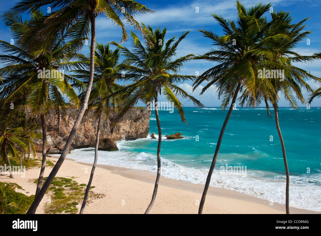 Bella Baia inferiore, angolo sud-est di Barbados, West Indies Foto Stock