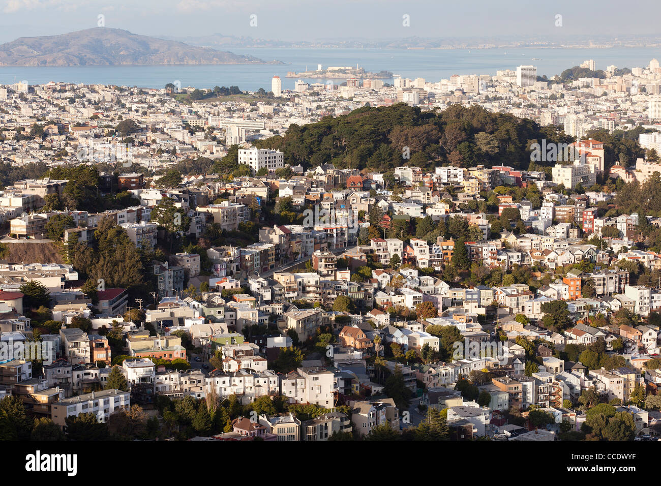 San Francisco case su pendio Foto Stock
