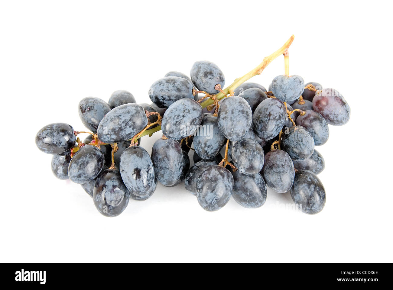 Grappolo di uva isolati su sfondo bianco Foto Stock