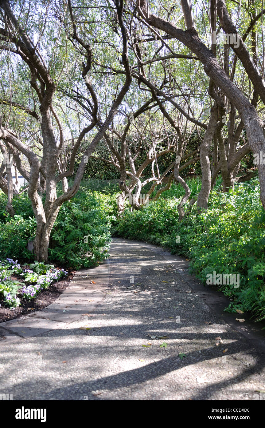 Dallas Arboretum, Texas, Stati Uniti d'America Foto Stock