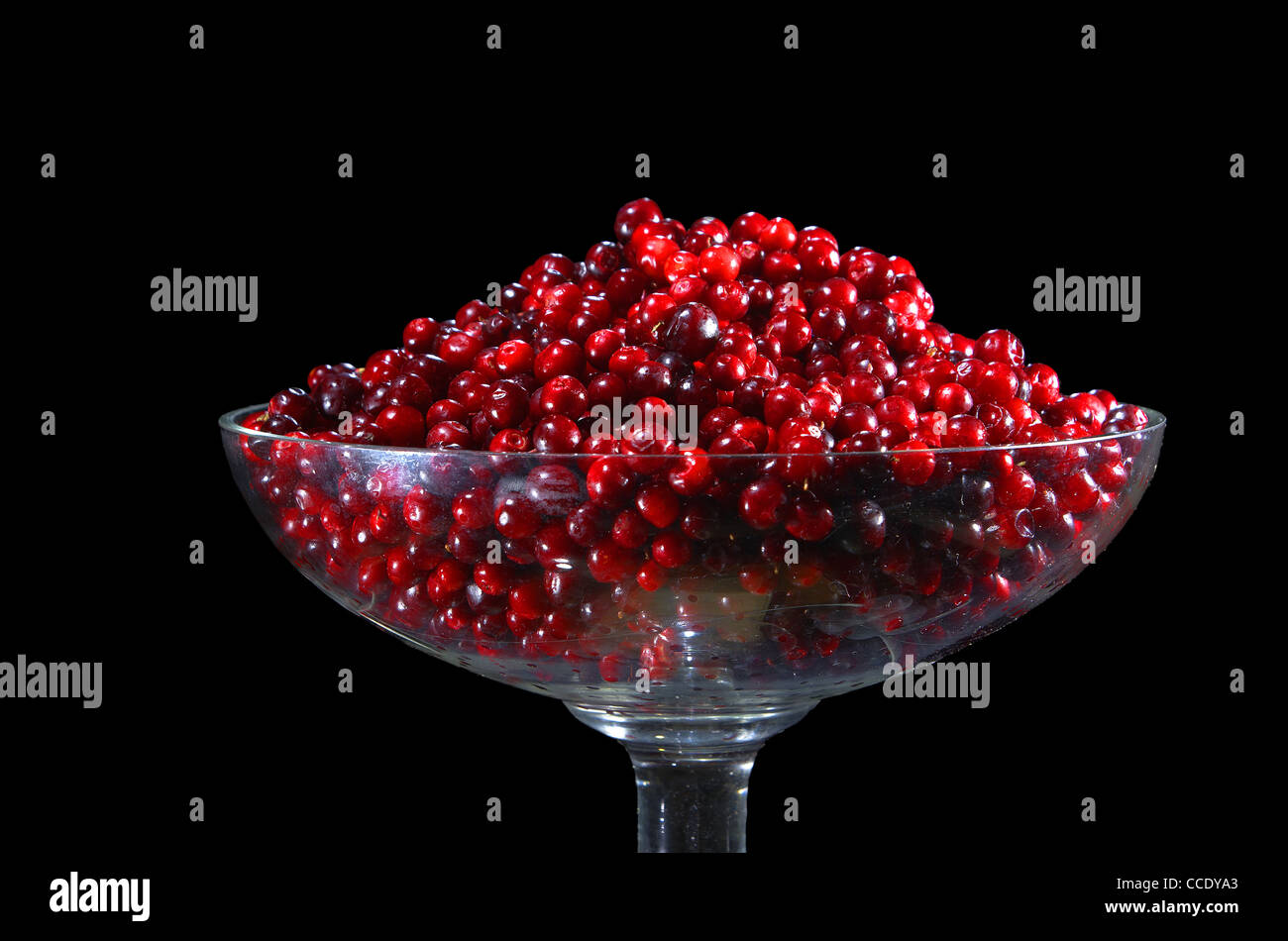 Le bacche rosse di mirtillo rosso, in vasetti di vetro. Foto Stock