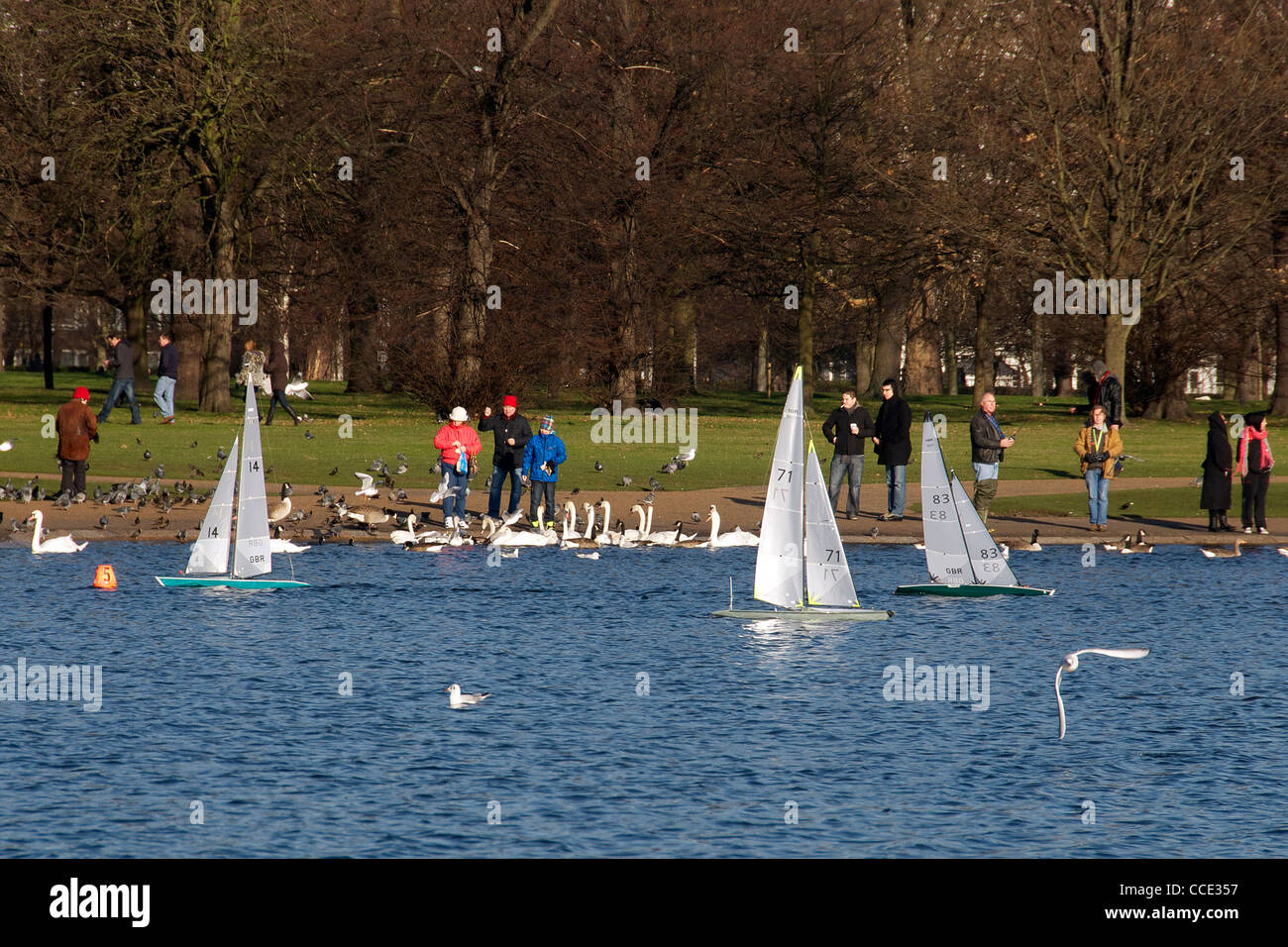 Radio Controlled yachts Round Pond Kensington Gardens Hyde Park Londra Inghilterra Foto Stock