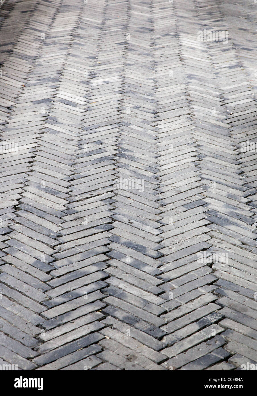 Intricato strada pavimentata con mattoni disposti su un pesce modello osseo Foto Stock