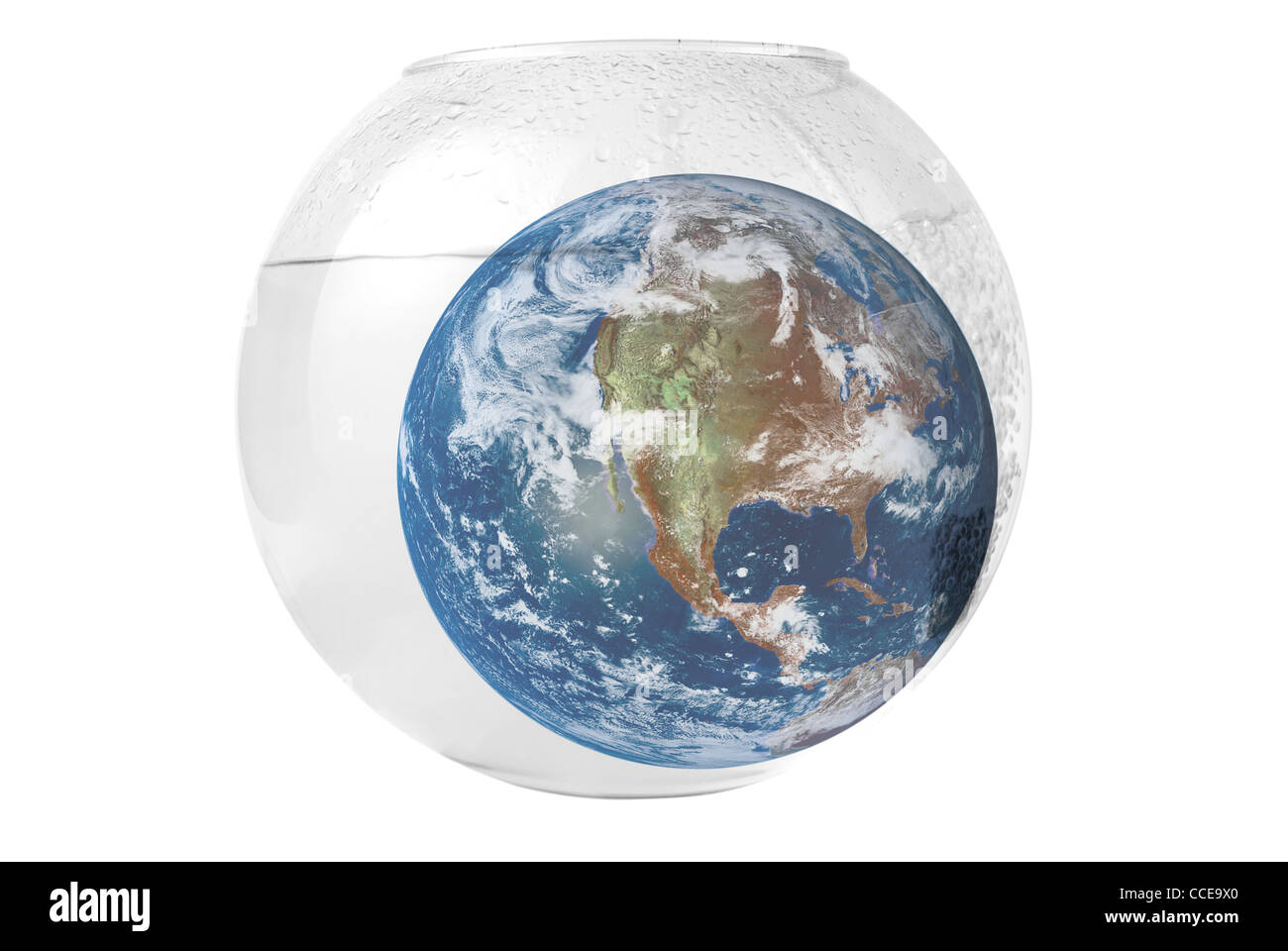 Messa a terra a aquarium isolati su sfondo bianco Foto Stock