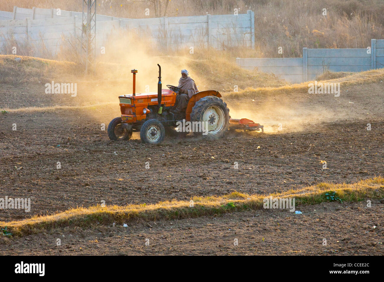 Coltivatore su un trattore nella provincia del Punjab, Pakistan Foto Stock