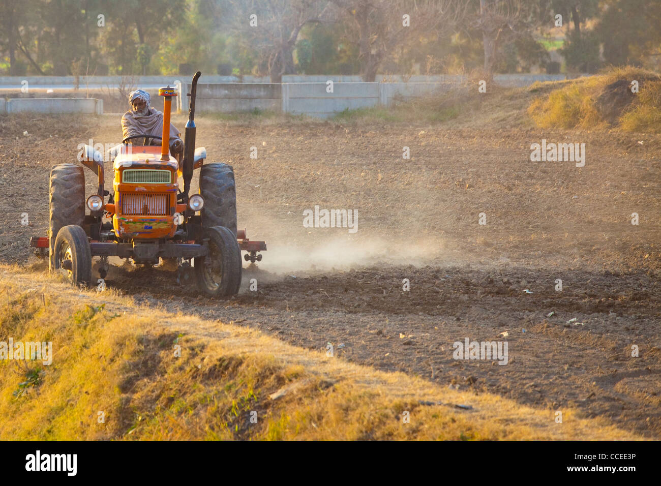 Coltivatore su un trattore nella provincia del Punjab, Pakistan Foto Stock