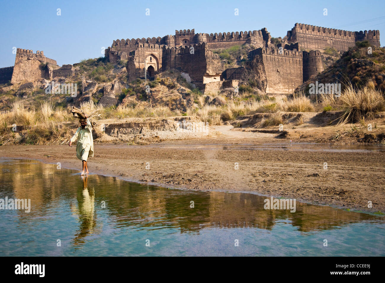 Rhotas Fort, Provincia del Punjab, Pakistan Foto Stock