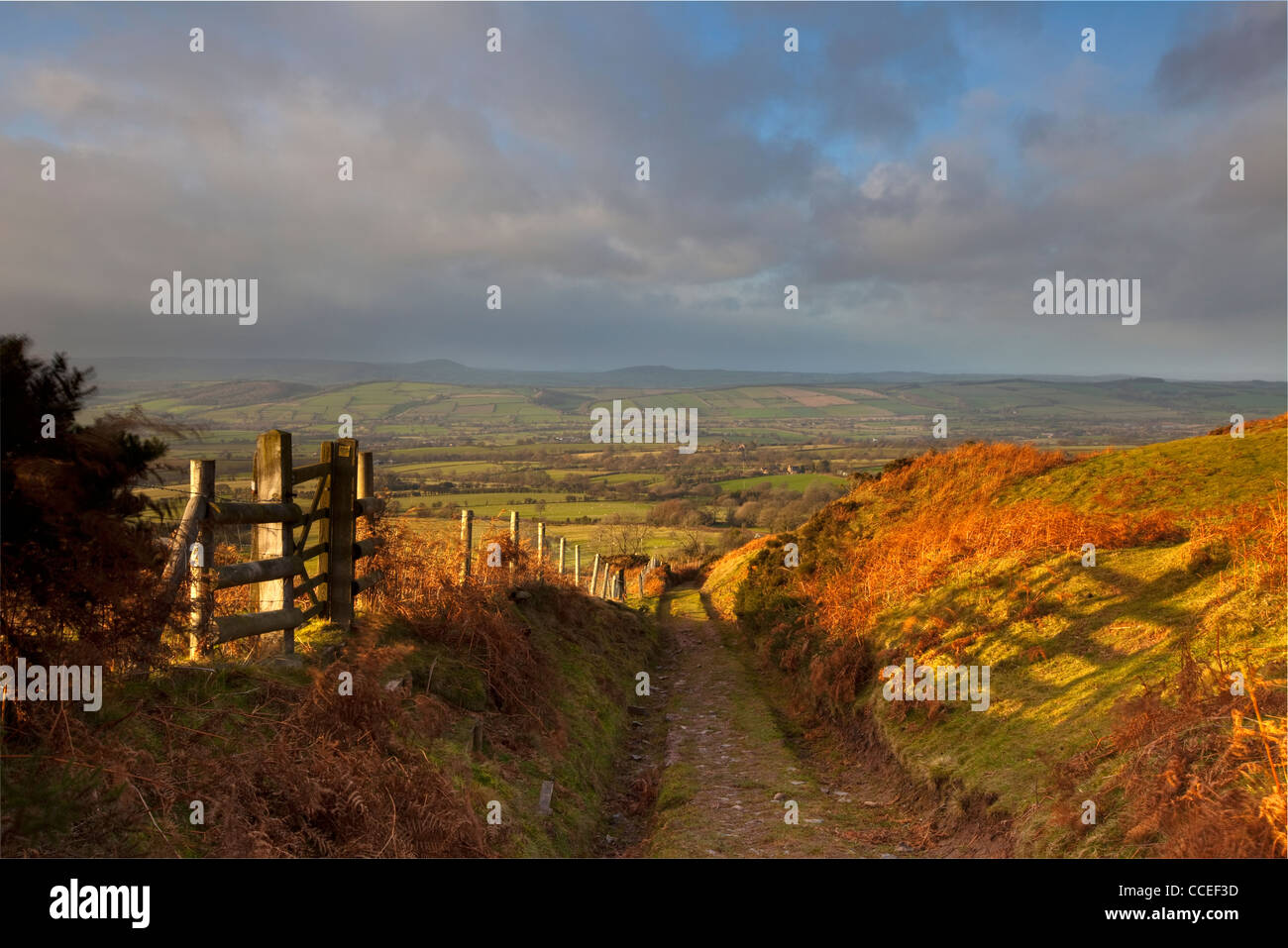 Tramonto su un bridleway discendente dalla Brown Clee Hill, guardando verso Wenlock Edge e la lunga mynd, Shropshire, Inghilterra, Regno Unito Foto Stock