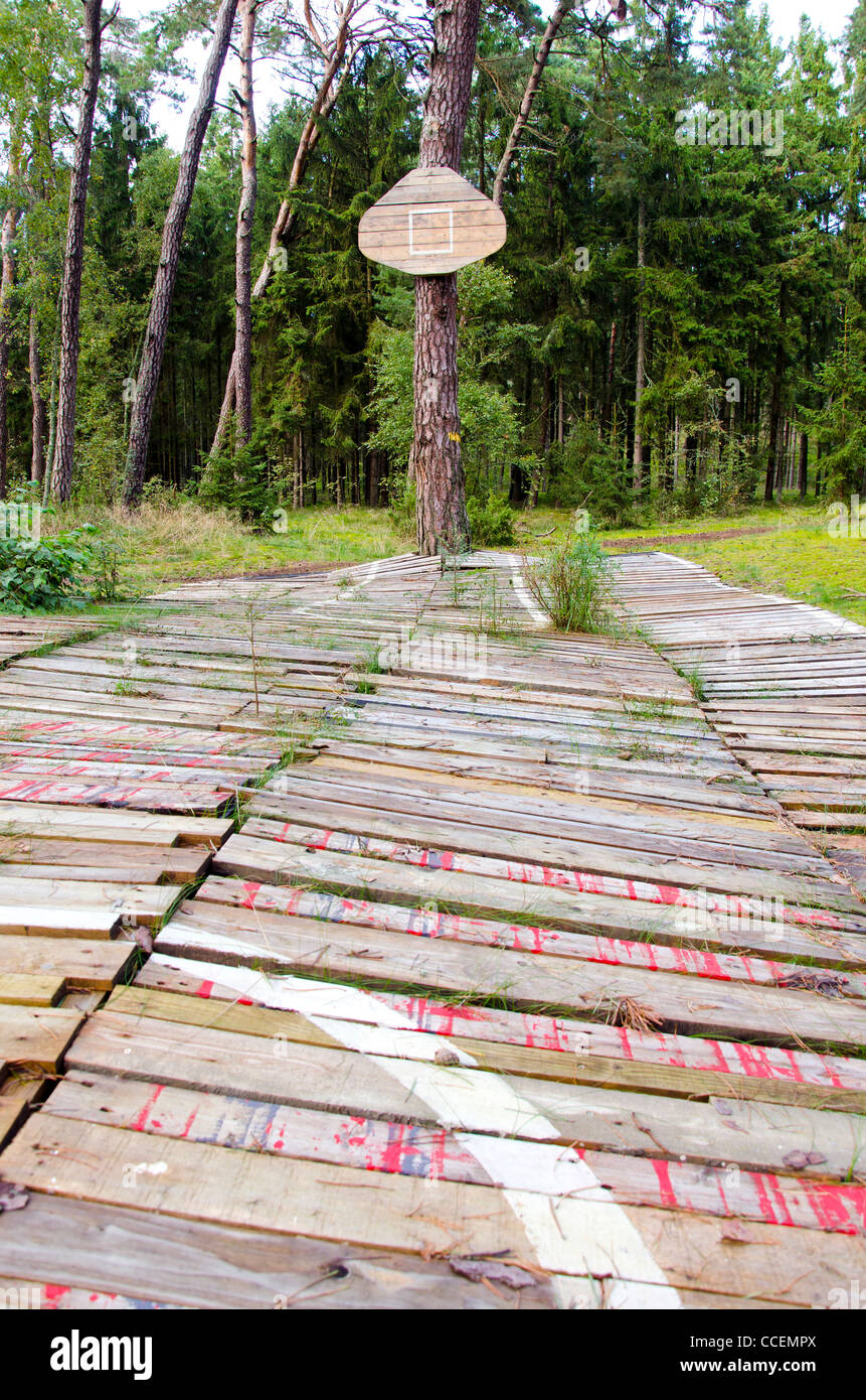 Primitivo campo di basket in località di mare foresta Foto Stock
