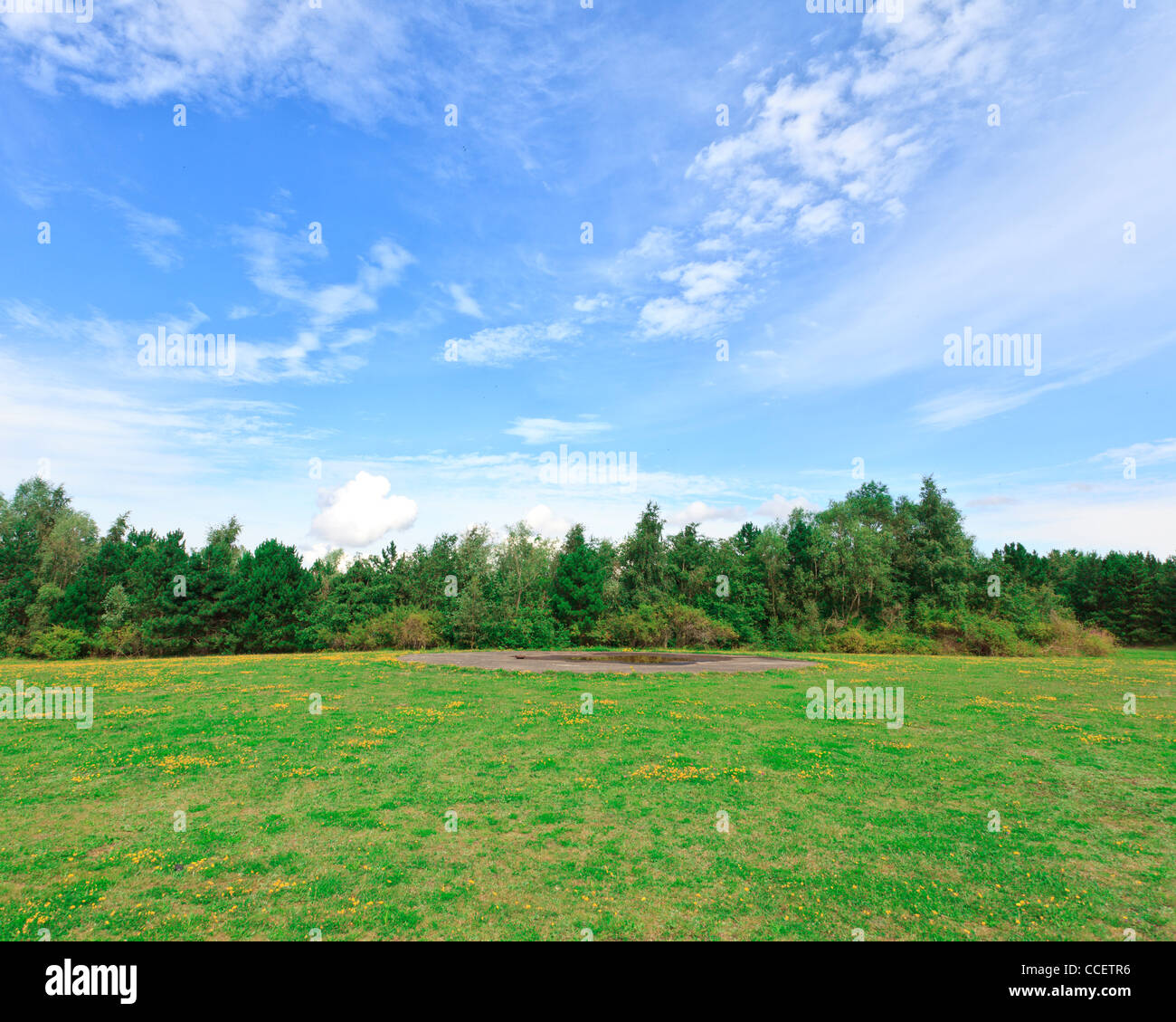 Riserva naturale sui terreni bonificati Foto Stock