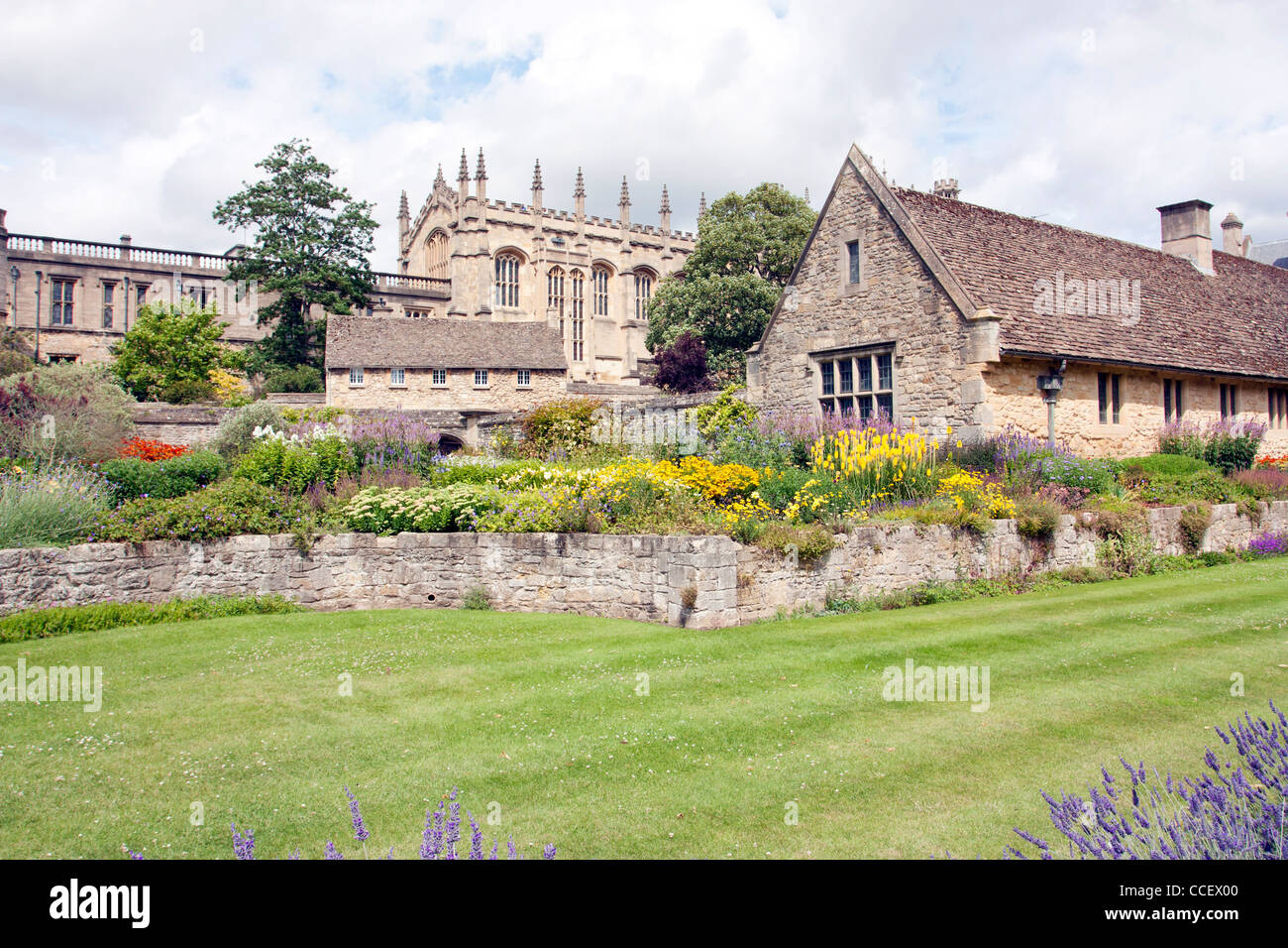 Giardini estivi con cespugli di lavanda e vecchio cottage in pietra in Oxford Foto Stock