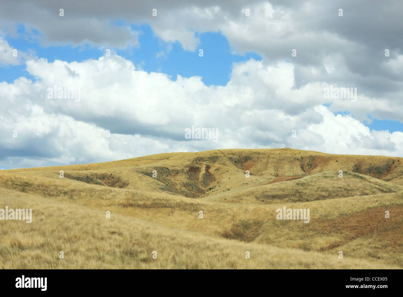 Visualizzare fino alla cima di una collina in tempeste con un imminente temporale Foto Stock