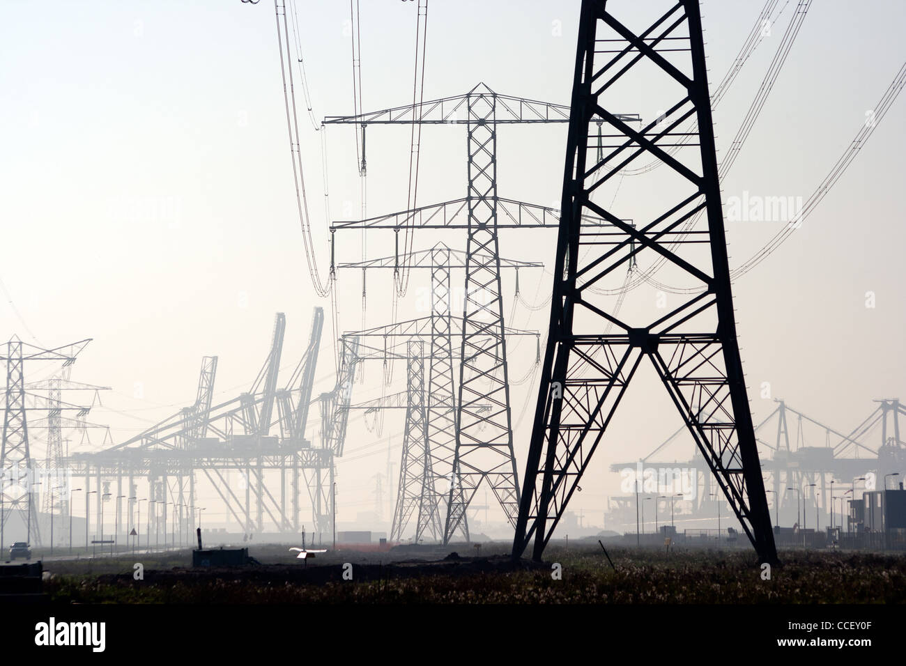 I pali dell'elettricità Foto Stock