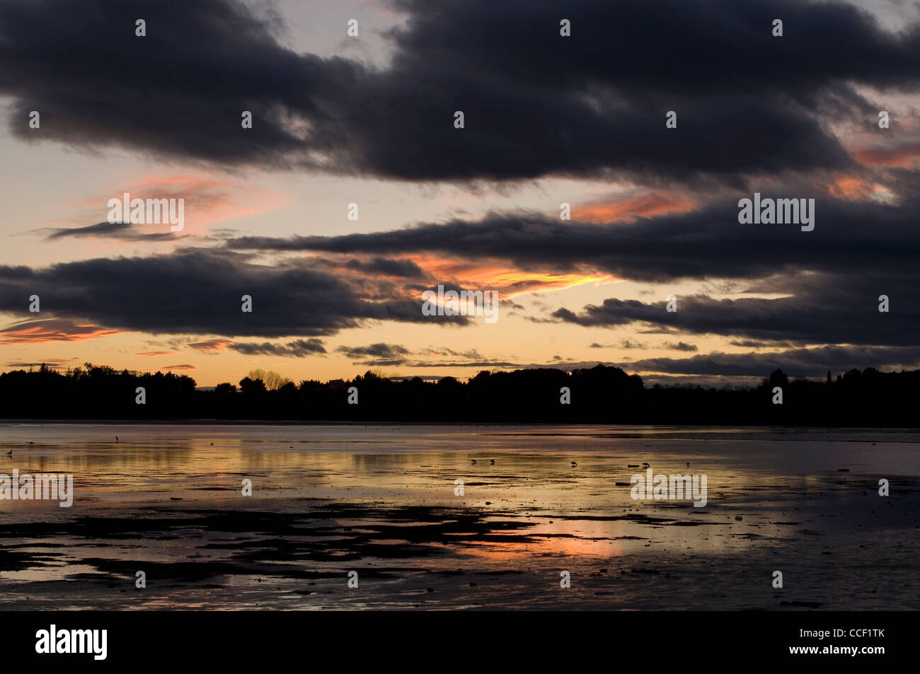 Tramonto sul santuario degli uccelli in Meze il Bassin de Thau,Herault,Languedoc,Francia Foto Stock