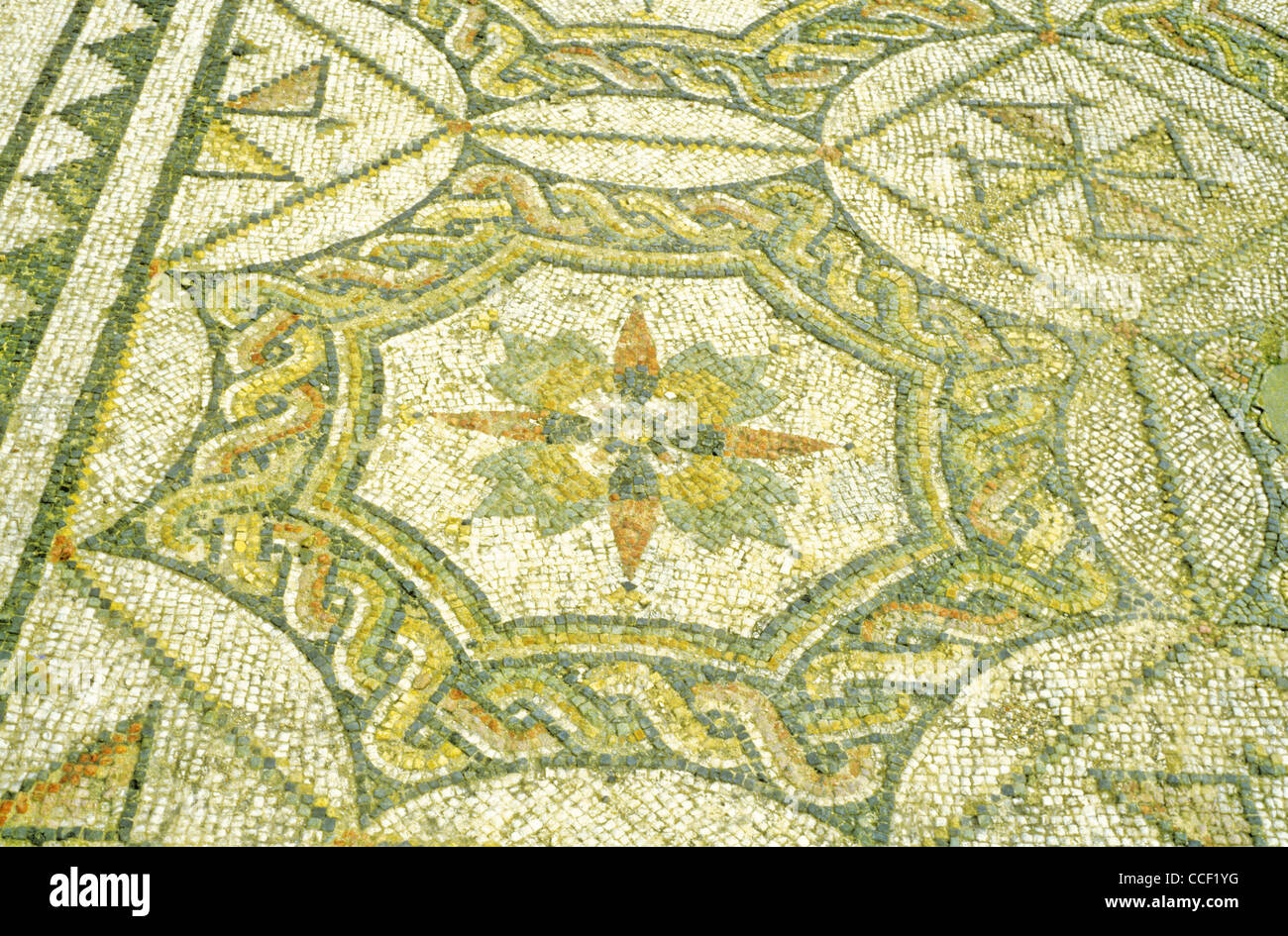 Pavimenti in mosaico presso le rovine Romane di Thuburbo Majus nel nord della Tunisia Foto Stock