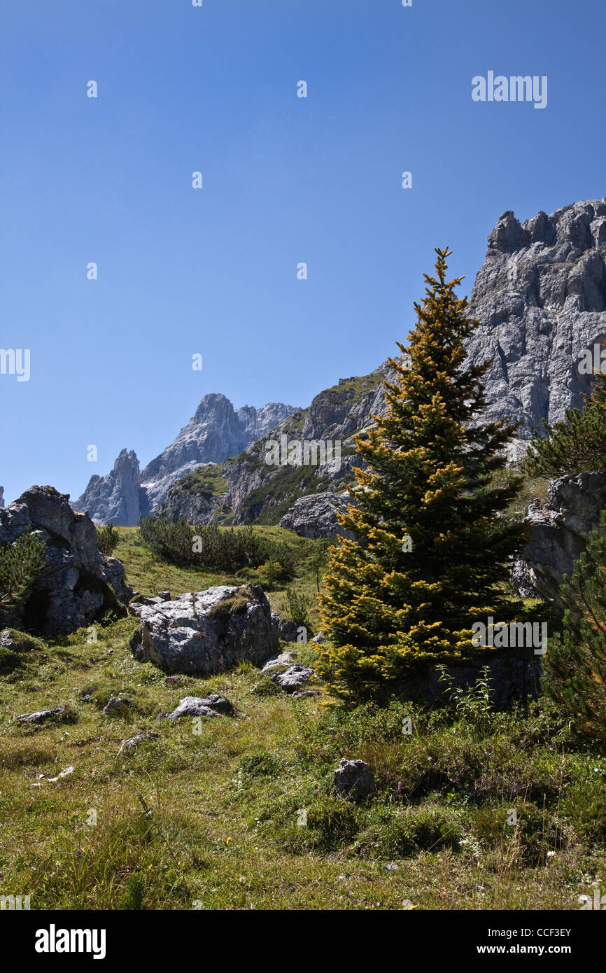 Viste nei pressi del Passo Monte Croce in italiano delle Alpi Dolomitiche Foto Stock